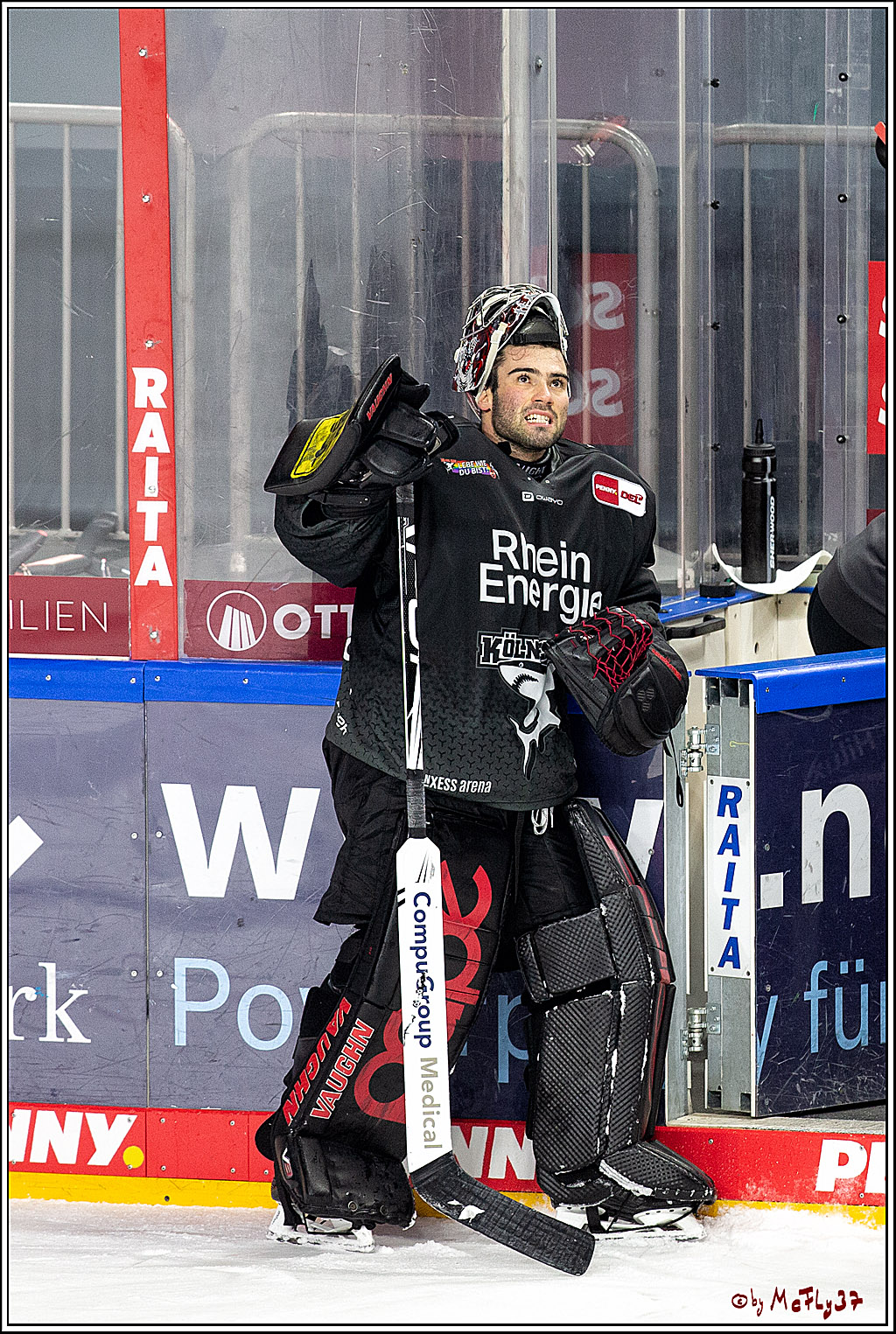 PENNY DEL;  Koelner Haie - Fischtown Pinguins Bremerhaven; Koeln, 17.01.2021